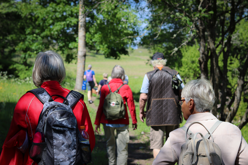 Vandrare längs Danmarksvandringen