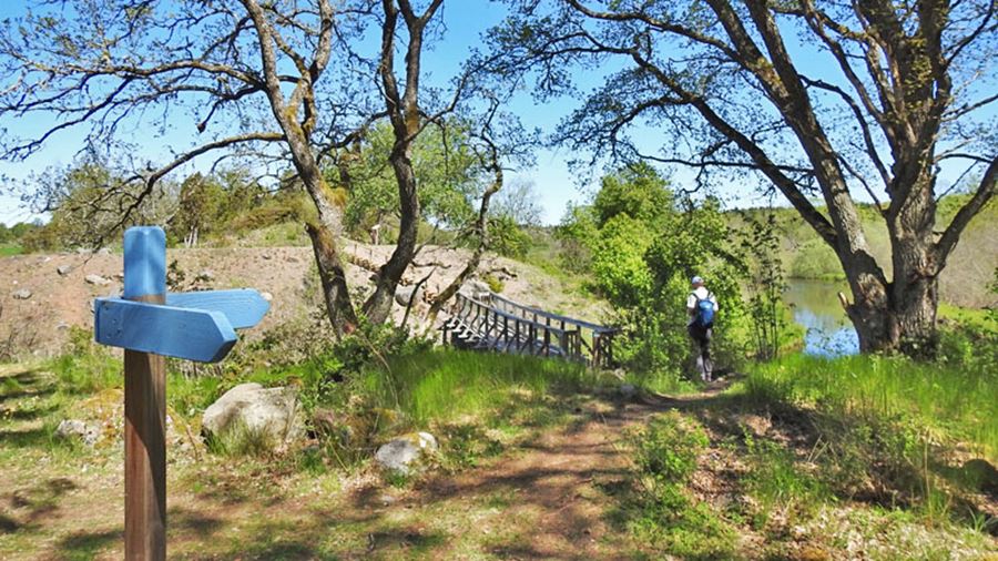 bridge over fyrisån